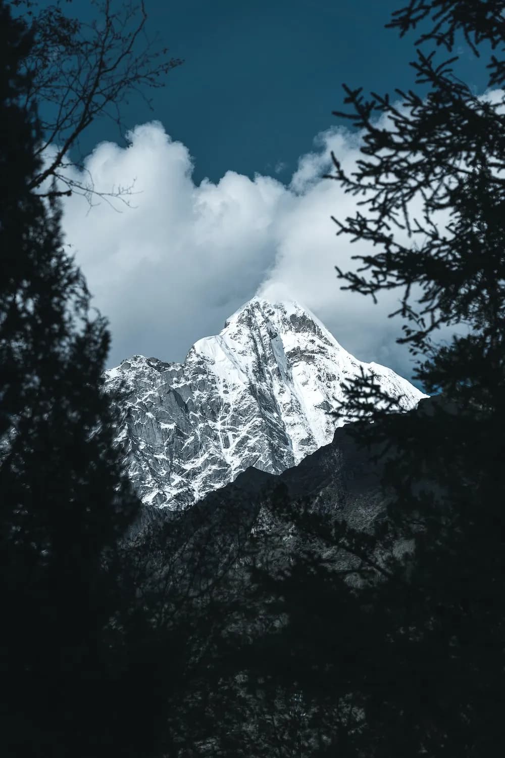 https://a.storyblok.com/f/251438/1000x1500/b7180102e2/top.webp